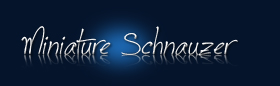 Schnauzer˝